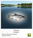 Іван Шершун фотография #8 (источник - https://vk.com/id59556856)