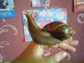 Фотография Майданюк-Козловой Ирины