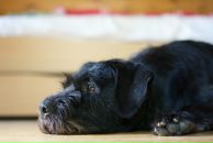 Ася Нео фотография #33 (источник - https://vk.com/id122476)