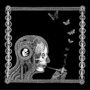 Фотография Aruba Aruba