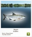 Діма Мікулеску фотография #30 (источник - https://vk.com/id148218934)
