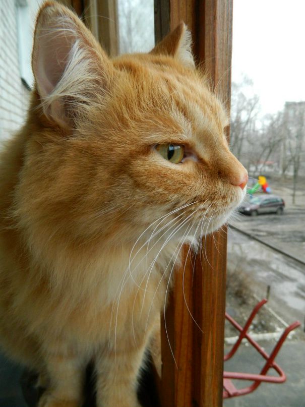 Игорь Геннадьевич фотография #20