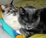 Фотография Дружкиной Лены