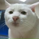 Фотография Туркина Дениса