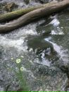 Фотография Седельникова Степана