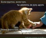 Фотография Викторовна Анна