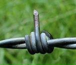 Фотография Винтокрыл Элру