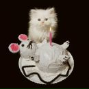 Фотография Есиповой Оксаны