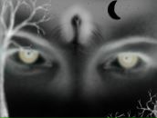 Фотография Егорова Михаила