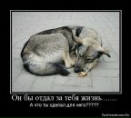 Фотография Прусс Анны