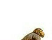 Діма Семенчук фотография #1