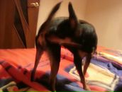 Фотография Потолицыной Ирины