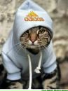 Tale Quale фотография #16 (источник - https://vk.com/id135426259)
