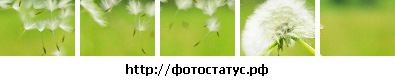 Юля Іванчишин фотография #42 (источник - https://vk.com/id87770378)