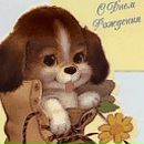 Марічка Оксенюк-Подобашева фотография #33 (источник - https://vk.com/id101041231)