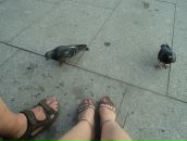 Фотография Евтушенко Ирины