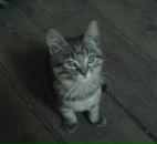 Фотография Зиминой Марии