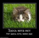 Фотография Сорокиной Виты