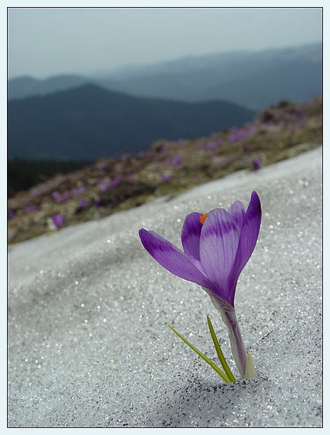 Надежда Тимончик фотография #3