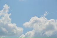 Фотография Читейшвили Павла