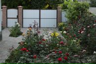 Андрій Лук'яненко фотография #9 (источник - https://vk.com/id5930513)