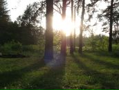 Маряна Сокіл фотография #12 (источник - https://vk.com/id8316949)