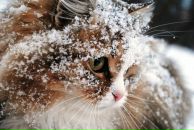 Юрій Атамась фотография #1