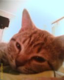 Елена Остапкевич фотография #21 (источник - https://vk.com/id1925147)