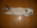 Виктор Бородин фотография #48 (источник - https://vk.com/id2552884)