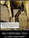 Віталік Мельник фотография #45 (источник - https://vk.com/id55369643)