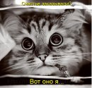 Фотография Звездиной Наталии