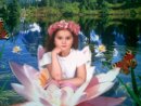 Іван Копитчак фотография #10 (источник - https://vk.com/id14501915)