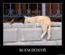 Ігор Михальчук фотография #40 (источник - https://vk.com/id11618670)