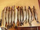 Василь Іськів фотография #7 (источник - https://vk.com/id36043205)