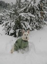 Фотография Болотовой Марины