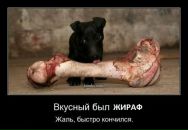 Фотография Громова Дмитрия