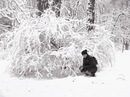 Ліана Лущан фотография #47 (источник - https://vk.com/id56894693)
