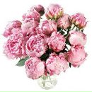 Ірина Солонишин фотография #36 (источник - https://vk.com/id13293078)