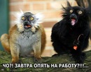 Фотография Наговицына Алексея