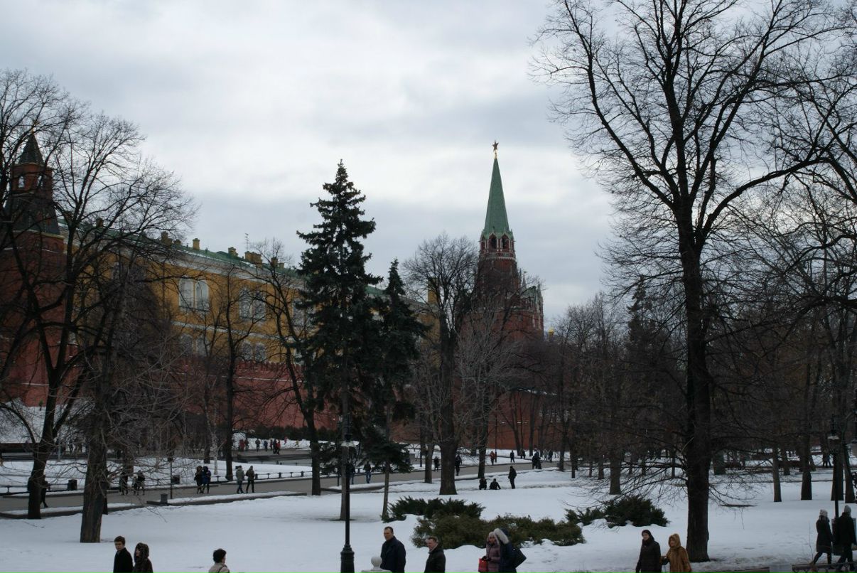 Тимур Тимуров фотография #42