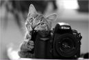 Фотография Android Andrey