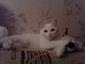 Фотография Будам Валентины