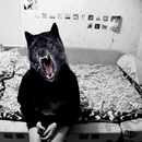 Фотография Веселовой Ольги