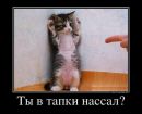 Анька Крайниківська фотография #31 (источник - https://vk.com/id167959300)