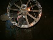 Фотография  