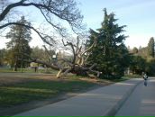 Анна Билгин фотография #18 (источник - https://vk.com/id2333235)