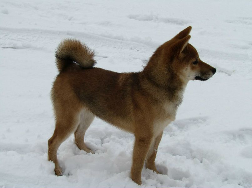 Илья Соболев фотография #19