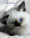 Анатолій Анохін фотография #17 (источник - https://vk.com/id119406416)