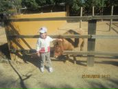 Марина Дуфанець фотография #13 (источник - https://vk.com/id114177996)