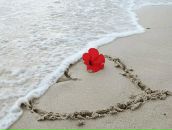 Фотография Садыковой Рамили